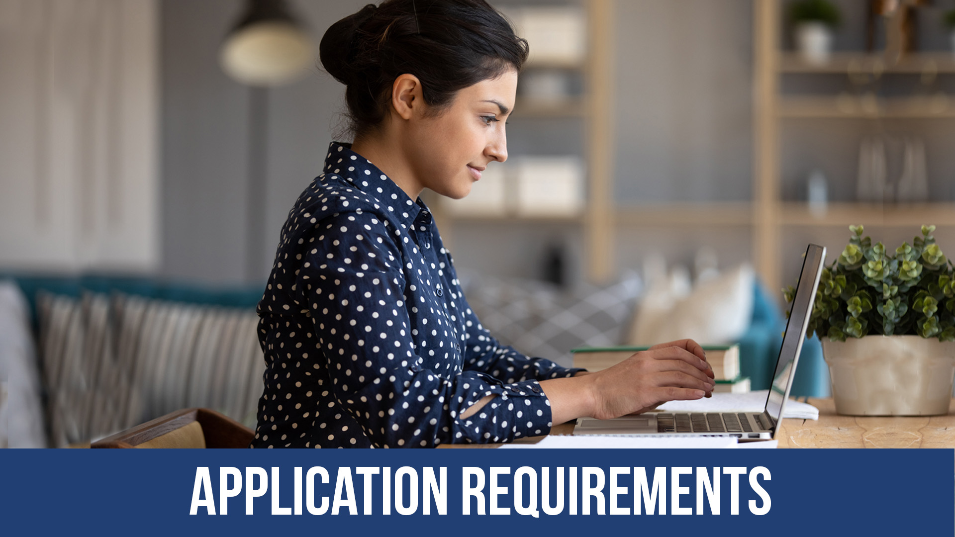 Application Requirements RVU