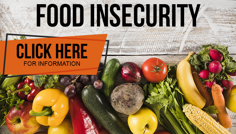 Food Insecurity - Click here