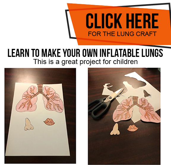 Lung Craft for Kids