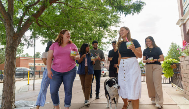 Protecting Pets, People, and Public Health: Rabies Prevention and the Role of Veterinary Education