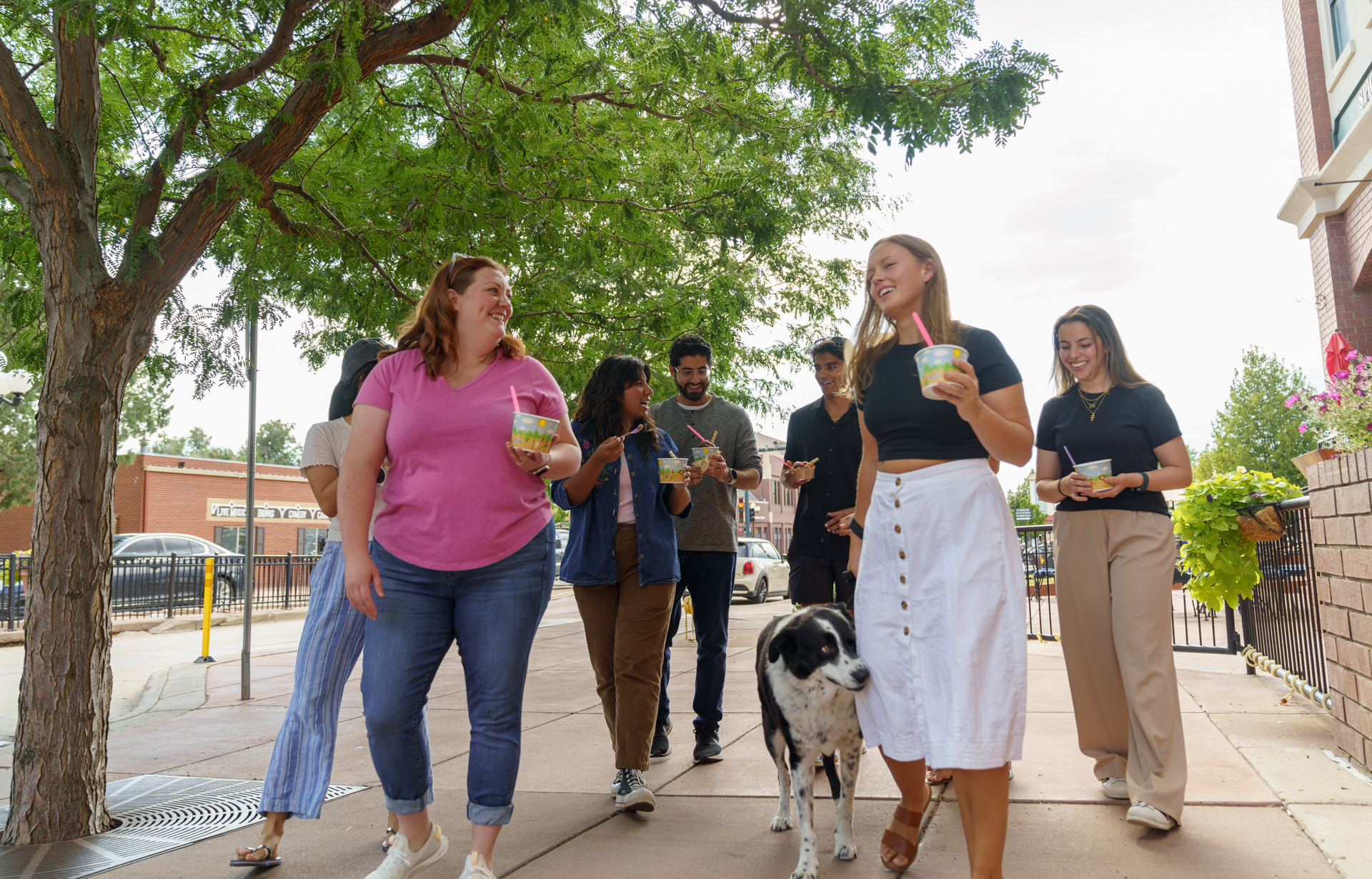Protecting Pets, People, and Public Health: Rabies Prevention and the Role of Veterinary Education