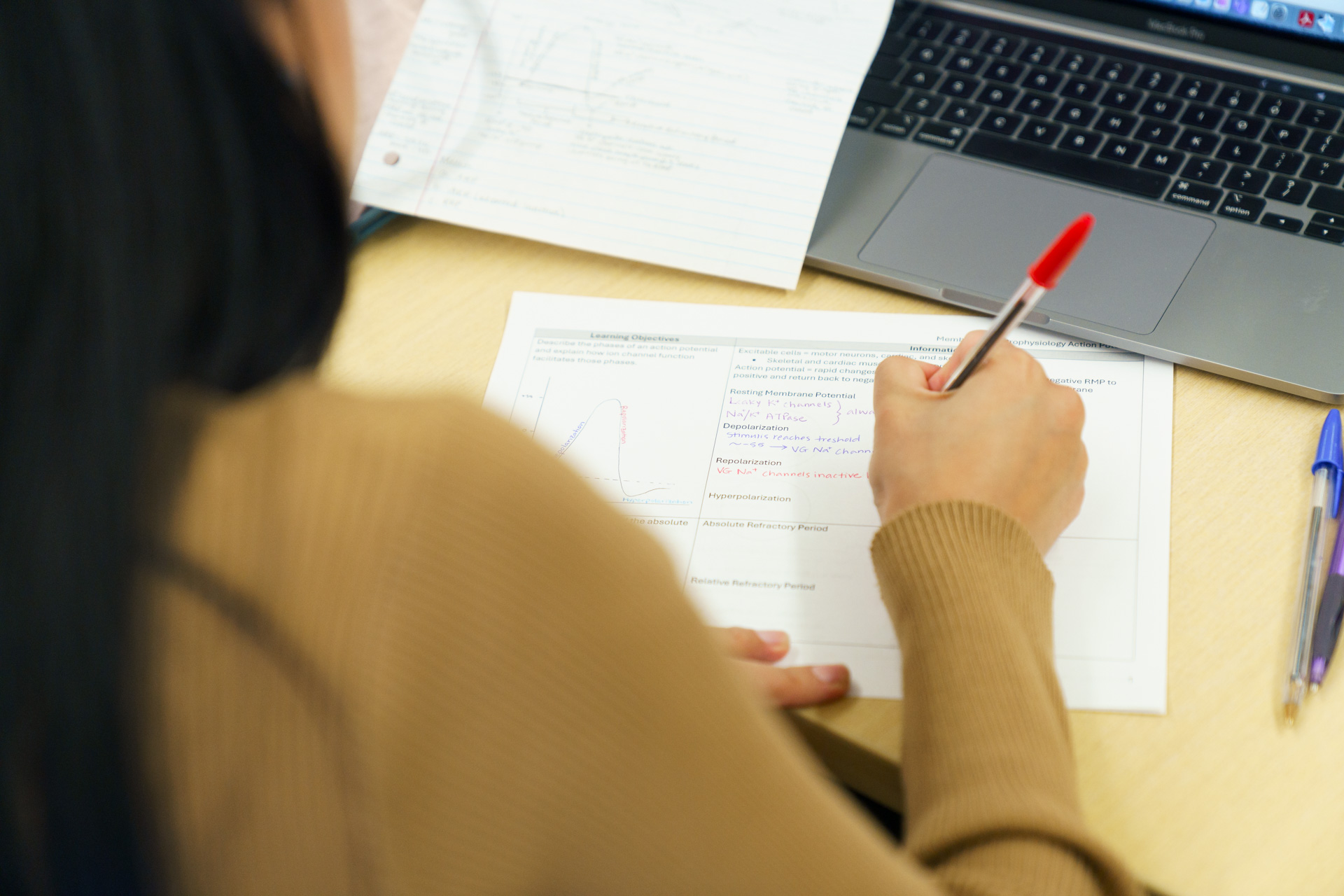 Applying to RVU’s Physician Assistant Program? Here’s What You Need to Know