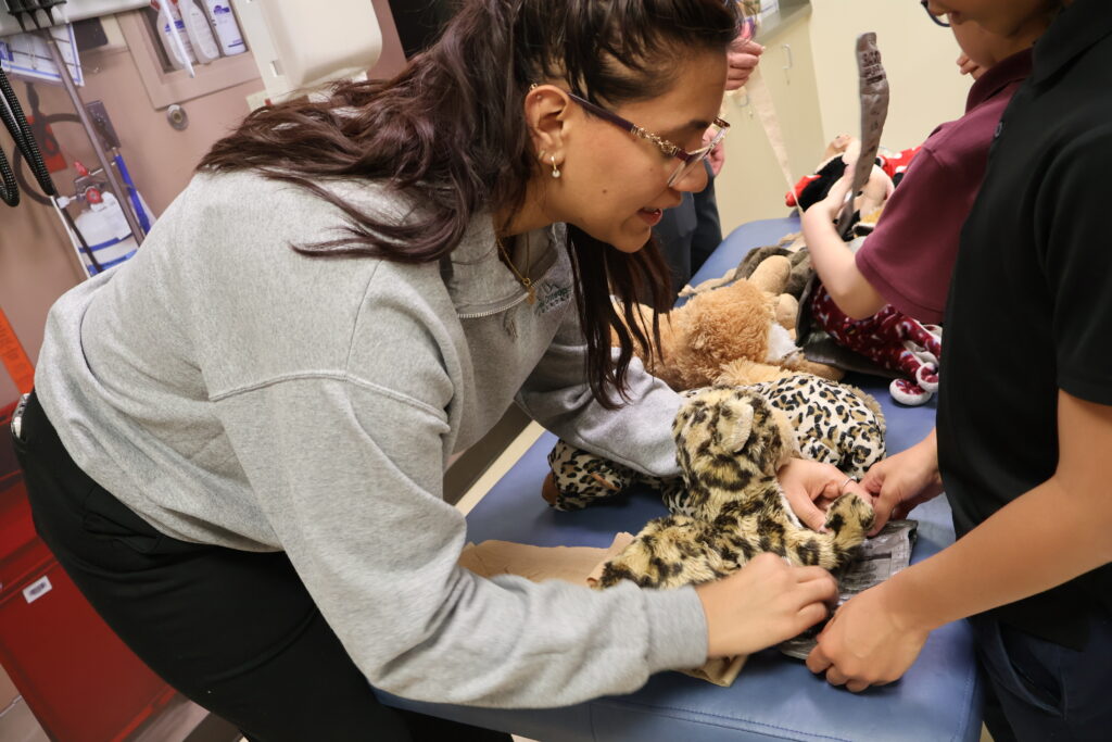 RVU student demonstrates applying a bandage on a stuffed animal.
